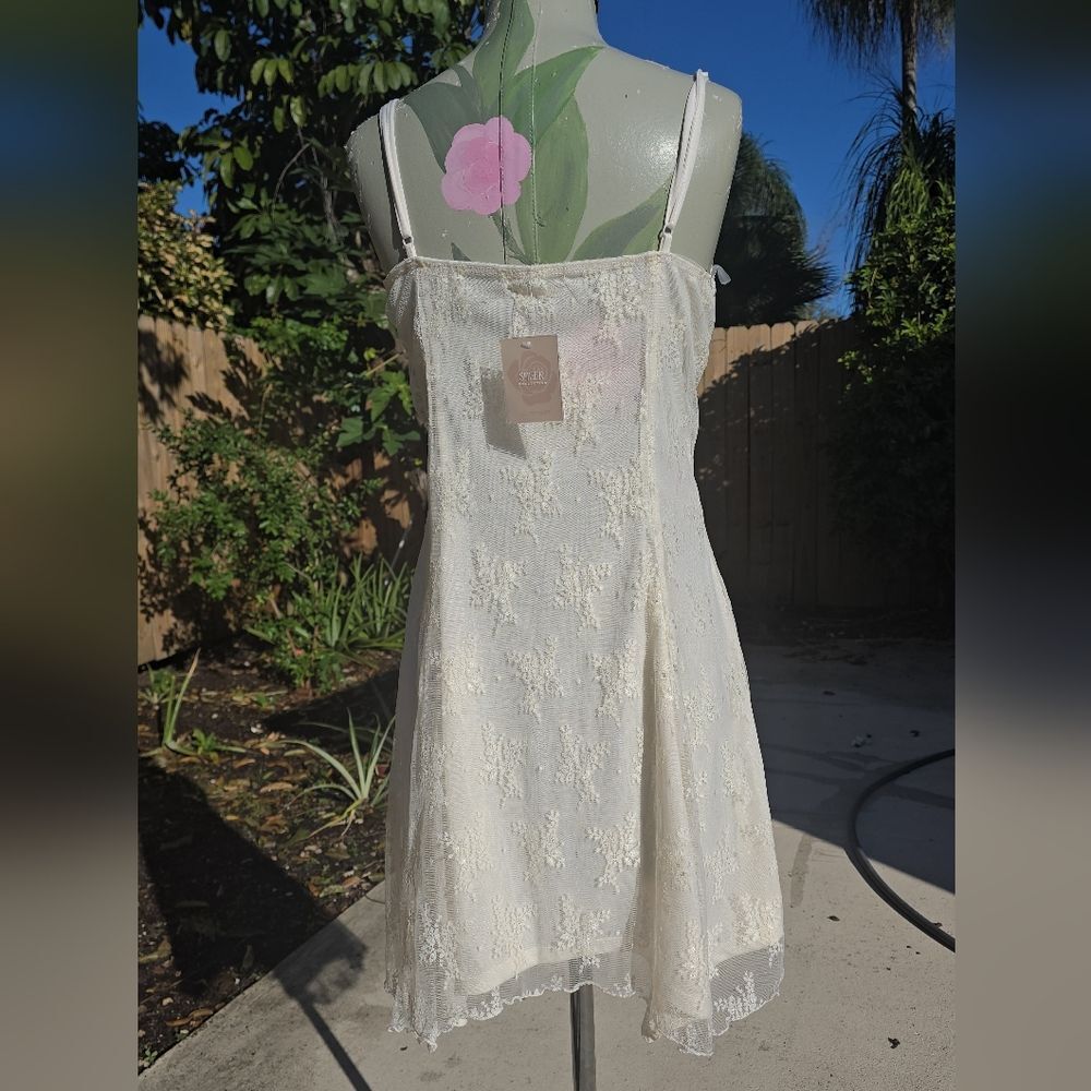 Sheer Collection Beige Top - Picture 6 of 12